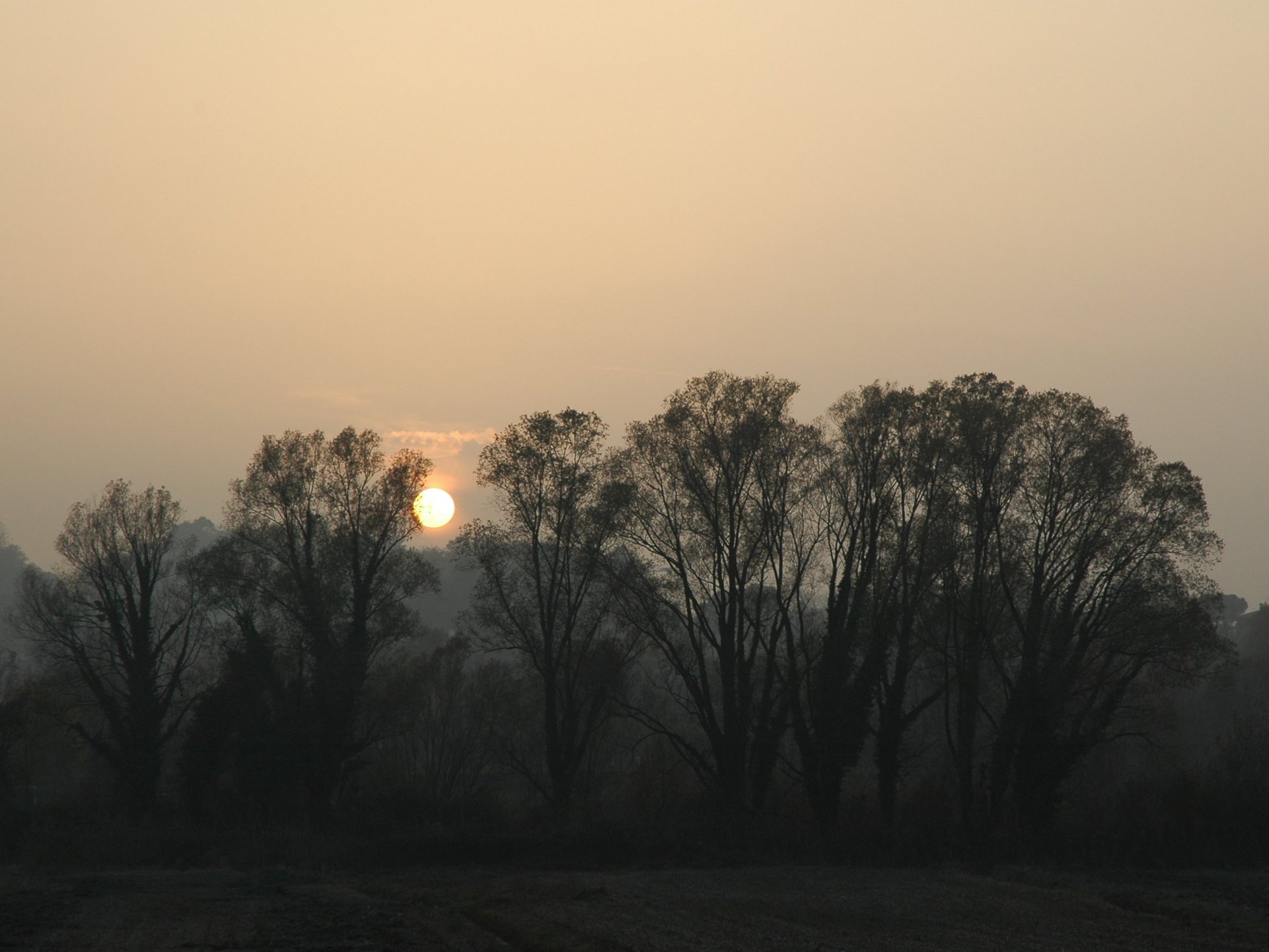 Tramonto grigio vicino al fiume